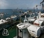 Marine Cargo Inspection